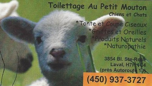Toilettage Au Petit Mouton à Laval
